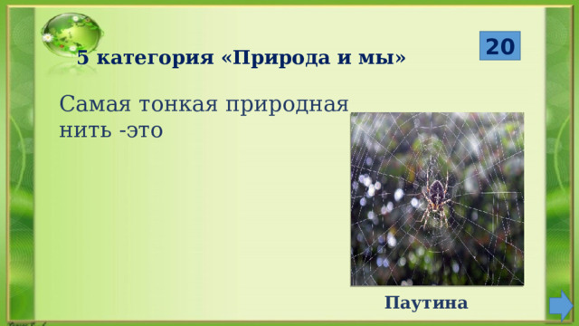  20 5 категория «Природа и мы» Самая тонкая природная нить -это Паутина 