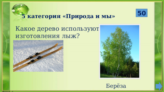  50 5 категория «Природа и мы» Какое дерево используют для изготовления лыж? Берёза 