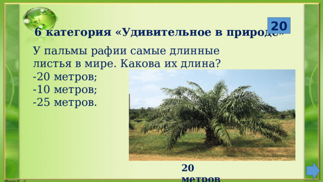  20 6 категория «Удивительное в природе» У пальмы рафии самые длинные листья в мире. Какова их длина? -20 метров; -10 метров; -25 метров. 20 метров 
