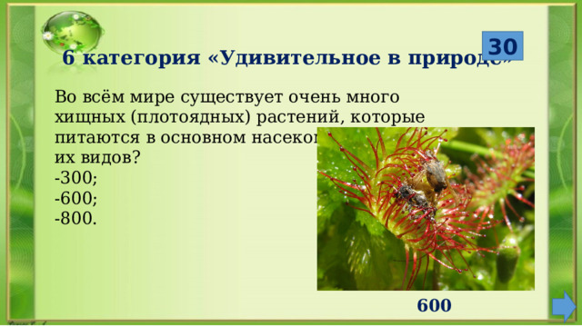 600 30 6 категория «Удивительное в природе» Во всём мире существует очень много хищных (плотоядных) растений, которые питаются в основном насекомыми. Сколько их видов? -300; -600; -800. 