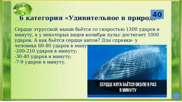  40 6 категория «Удивительное в природе» Сердце этрусской мыши бьётся со скоростью 1300 ударов в минуту, а у некоторых видов колибри пульс достигает 1000 ударов. А как бьётся сердце китов? Для справки- у человека 60-80 ударов в минуту. -200-210 ударов в минуту; -30-40 ударов в минуту; -7-9 ударов в минуту. 