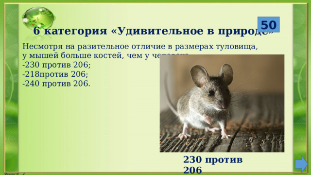  50 6 категория «Удивительное в природе» Несмотря на разительное отличие в размерах туловища, у мышей больше костей, чем у человека: -230 против 206; -218против 206; -240 против 206. 230 против 206 
