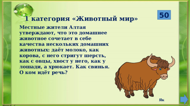 Местные жители Алтая утверждают, что это домашнее животное сочетает в себе качества нескольких домашних животных: даёт молоко, как корова, с него стригут шерсть, как с овцы, хвост у него, как у лошади, а хрюкает. Как свинья. О ком идёт речь? 50 1 категория «Животный мир» Як  