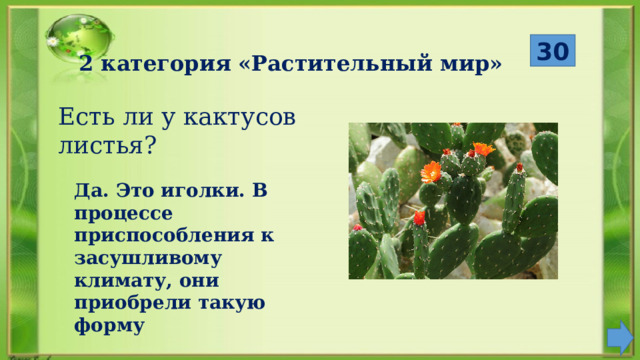  30 2 категория «Растительный мир» Есть ли у кактусов листья? Да. Это иголки. В процессе приспособления к засушливому климату, они приобрели такую форму 