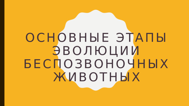  Основные этапы эволюции беспозвоночных животных 