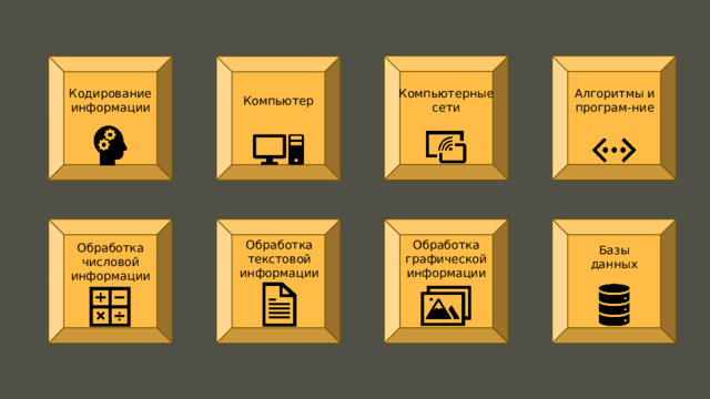 Алгоритмы и програм-ние Компьютерные сети Кодирование информации Компьютер Обработка текстовой информации Обработка графической информации Обработка числовой информации Базы  данных 