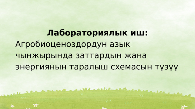 Лабораториялык иш: Агробиоценоздордун азык чынжырында заттардын жана энергиянын таралыш схемасын түзүү 