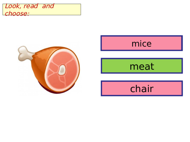 Look, read and choose: mice mice meat meat chair chair 
