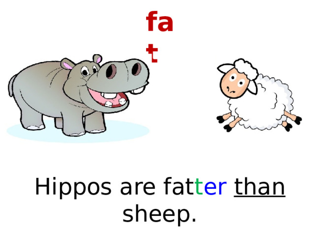 fat Hippos are fat t er than sheep. 