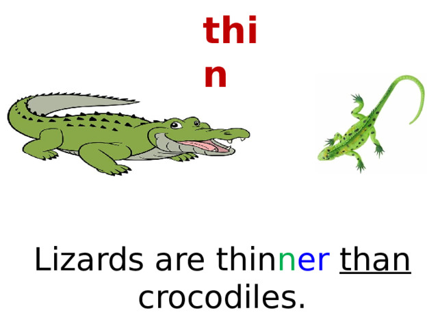 thin Lizards are thin n er than crocodiles. 