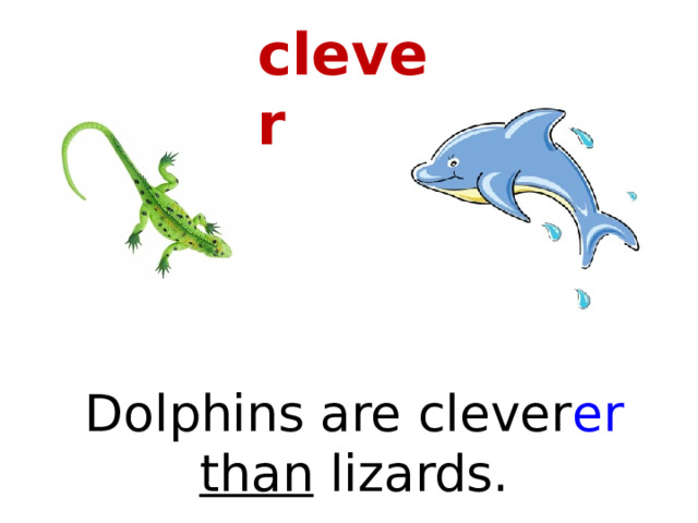 clever Dolphins are clever er than lizards. 