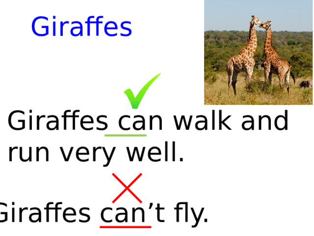 Giraffes Giraffes can walk and run very well. Giraffes can’t fly. 