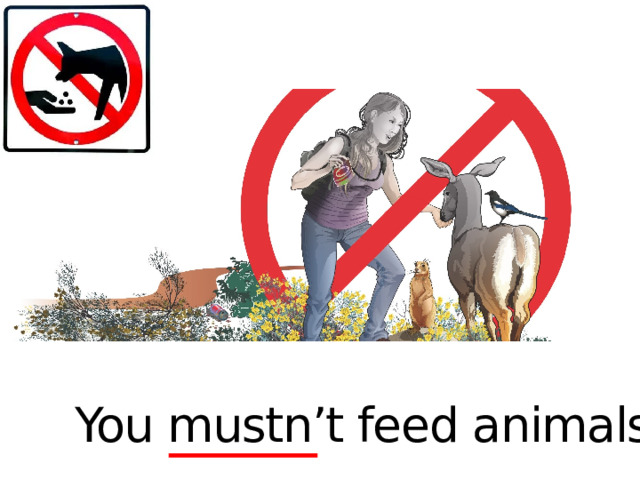 You mustn’t feed animals.  