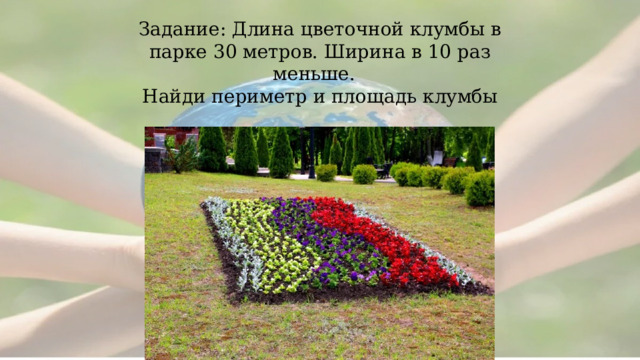  Задание: Длина цветочной клумбы в парке 30 метров. Ширина в 10 раз меньше. Найди периметр и площадь клумбы       
