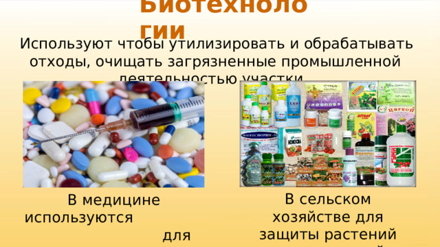 Биотехнологии  Используют чтобы утилизировать и обрабатывать отходы, очищать загрязненные промышленной деятельностью участки, В сельском хозяйстве для защиты растений от вредителей В медицине используются для производства лекарств 