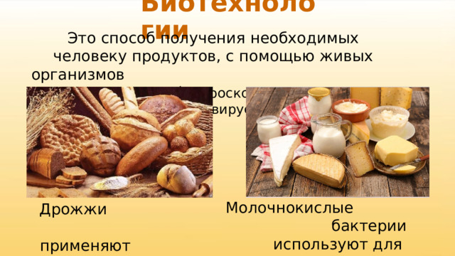 Биотехнологии Это способ получения необходимых человеку продуктов, с помощью живых организмов ( микроскопических грибов, бактерий, вирусов, ). Молочнокислые бактерии используют для приготовления сыров и кефира Дрожжи применяют в хлебопечении 