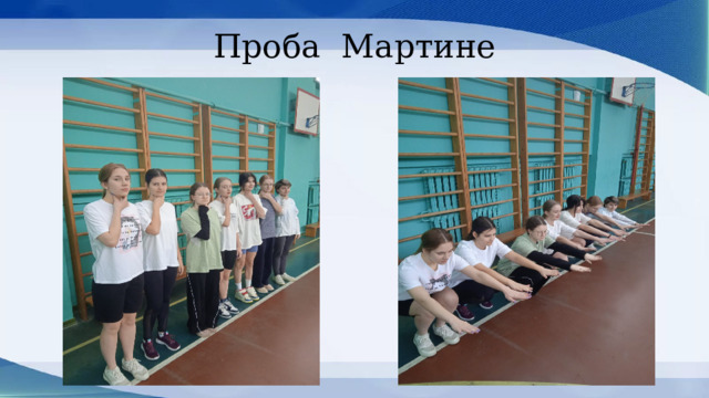 Проба Мартине 