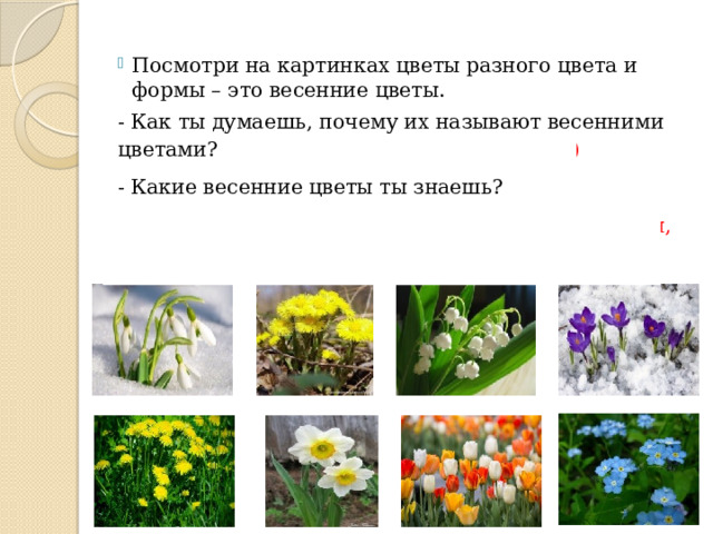 Посмотри на картинках цветы разного цвета и формы – это весенние цветы. - Как ты думаешь, почему их называют весенними цветами? (Потому что появляются весной) - Какие весенние цветы ты знаешь? - Подснежники, мать-и мачеха, ландыши, крокусы, одуванчики, нарцисс, тюльпаны и незабудка. 