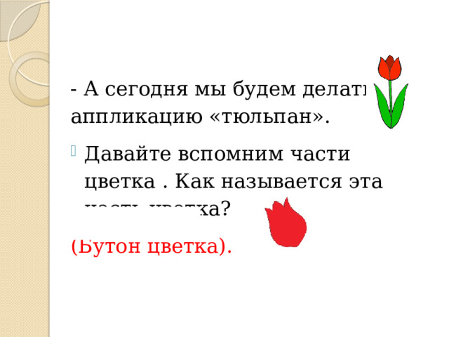 - А сегодня мы будем делать аппликацию «тюльпан». Давайте вспомним части цветка . Как называется эта часть цветка? (Бутон цветка). 