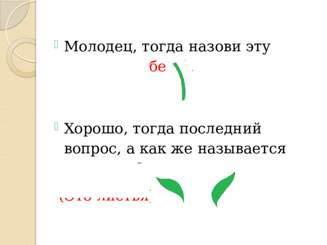 Молодец, тогда назови эту часть. (Стебель). Хорошо, тогда последний вопрос, а как же называется эта часть?  (Это листья). 