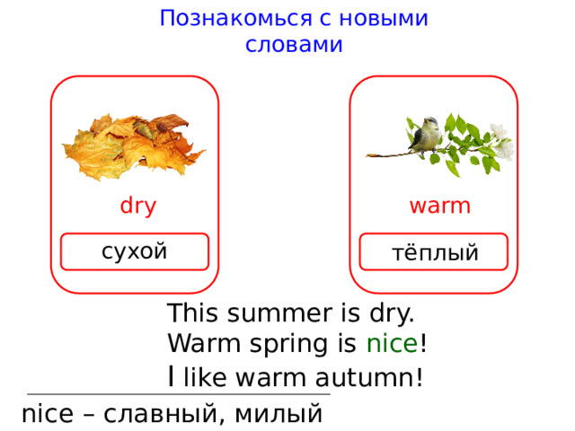 Познакомься с новыми словами dry warm сухой тёплый This summer is dry. Warm spring is nice ! I like warm au t umn! nice – славный, милый 
