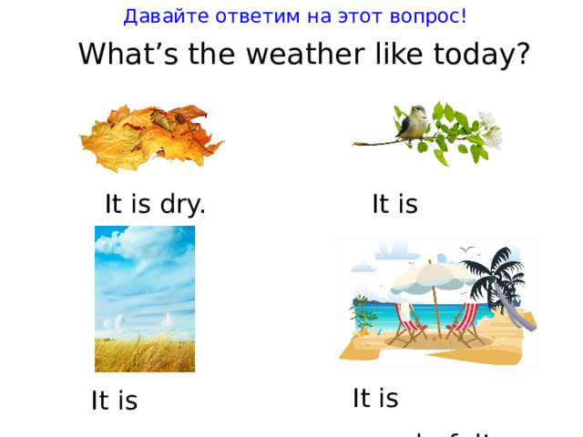 Давайте ответим на этот вопрос! Wha t ’s t he wea t her like t oday ? I t is dry. I t is warm. I t is wonderful! I t is nice. 