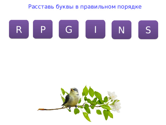Расставь буквы в правильном порядке R P G I N S 