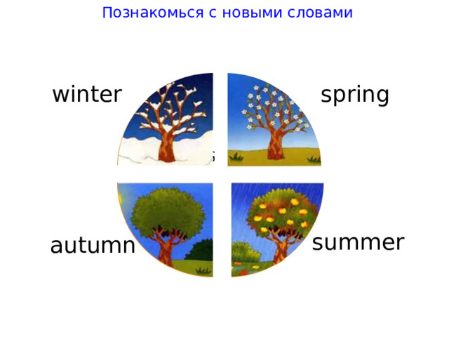 Познакомься с новыми словами win t er spring summer au t umn 