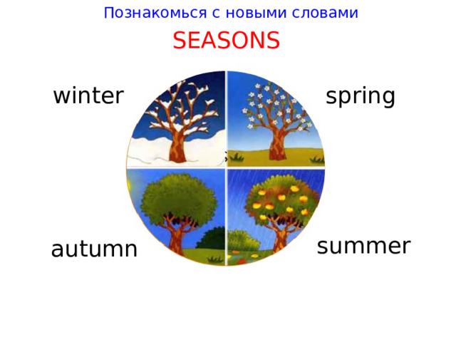 Познакомься с новыми словами SEASONS win t er spring summer au t umn 