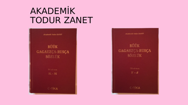AKADEMİK TODUR ZANET 