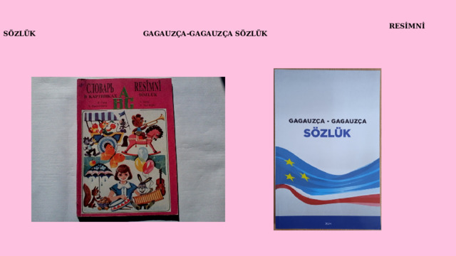                                         RESİMNİ SÖZLÜK GAGAUZÇA-GAGAUZÇA SÖZLÜK                                                                      