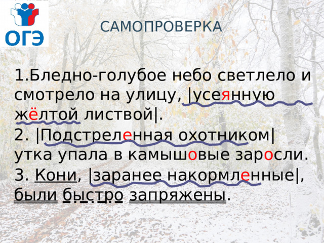 САМОПРОВЕРКА 1.Бледно-голубое небо светлело и смотрело на улицу, |усе я нную ж ё лтой листвой|. 2. |Подстрел е нная охотником| утка упала в камыш о вые зар о сли. 3. Кони , |заранее накормл е нные|, были  быстро  запряжены . 
