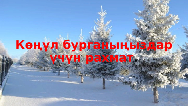 Көңүл бурганыңыздар үчүн рахмат . 