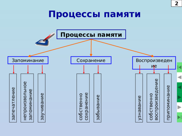Память   Память – это способность запоминать то, что мы видим, слышим, говорим и делаем, сохранять все это и в нужный момент воспроизводить.  