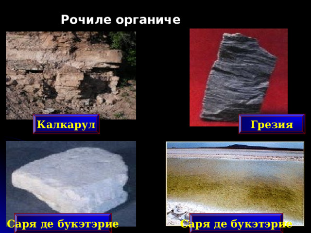 Рочиле органиче Калкарул Грезия Саря де букэтэрие Саря де букэтэрие 