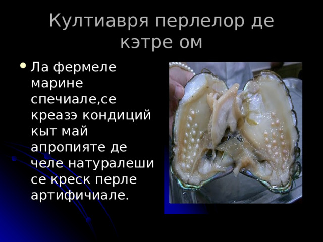 Култиавря перлелор де кэтре ом Ла фермеле марине спечиале,се креазэ кондиций кыт май апропияте де челе натуралеши се креск перле артифичиале . 