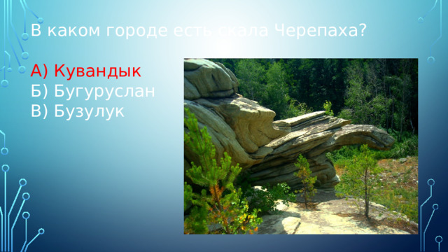 В каком городе есть скала Черепаха? А) Кувандык Б) Бугуруслан В) Бузулук 