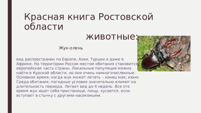 Красная книга Ростовской области  животные:  Жук-олень вид распространен по Европе, Азии, Турции и даже в Африке. На территории России местом обитания становится европейская часть страны. Локальные популяции можно найти в Курской области, но они очень немногочисленные. Основное время, когда жук может летать – конец мая, июня. Среда обитания, погодные условия значительно влияют на длительность периода. Летает вид до 4 недель. Все это время жук ищет себе пристанище, пищу, кусается, если вступает в стычку с другими насекомыми. 