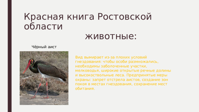 Красная книга Ростовской области  животные:   Чёрный аист Вид вымирает из-за плохих условий гнездования: чтобы особи размножались, необходимы заболоченные участки, мелководья, широкие открытые речные долины и высокоствольные леса. Предпринятые меры охраны: запрет отстрела аистов, создание зон покоя в местах гнездования, сохранение мест обитания. 