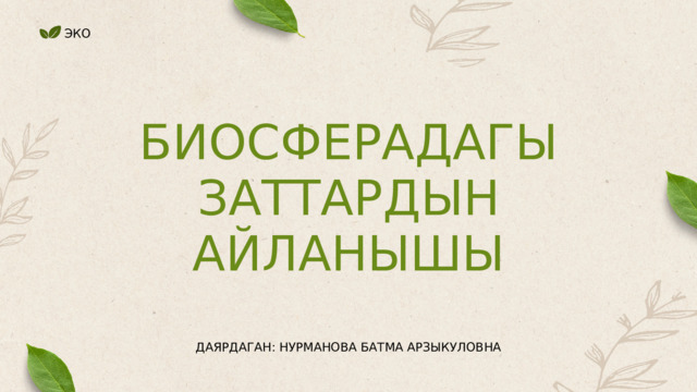 ЭКО БИОСФЕРАДАГЫ ЗАТТАРДЫН АЙЛАНЫШЫ ДАЯРДАГАН: НУРМАНОВА БАТМА АРЗЫКУЛОВНА 