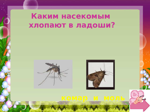 Каким насекомым хлопают в ладоши? комар и моль 