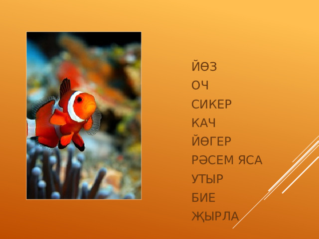 ЙӨЗ ОЧ СИКЕР КАЧ ЙӨГЕР РӘСЕМ ЯСА УТЫР БИЕ ҖЫРЛА 