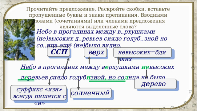 Прочитайте предложение. Раскройте скобки, вставьте пропущенные буквы и знаки препинания. Вводными словами (сочетаниями) или членами предложения являются выделенные слова? Небо в прогалинах между в..рхушками (не)высоких д..ревьев сияло голуб..зной но со..нца ещё (не)было видно.    ССП в е рх невысоких=близких Небо в прогалинах между в е рхушками не высоких д е ревьев сияло голуб и зной , но со л нца не было видно. д е рево суффикс «изн» всегда пишется с «и» со л нечный 