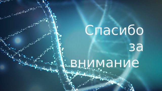 Спасибо за внимание 