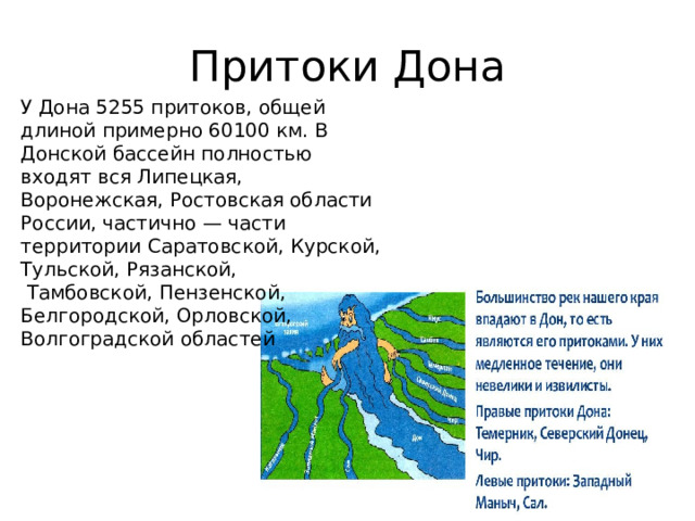 Притоки Дона У Дона 5255 притоков, общей длиной примерно 60100 км. В Донской бассейн полностью входят вся Липецкая, Воронежская, Ростовская области России, частично — части территории Саратовской, Курской, Тульской, Рязанской,  Тамбовской, Пензенской, Белгородской, Орловской, Волгоградской областей 