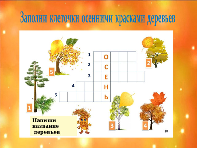 Напиши название  деревьев  