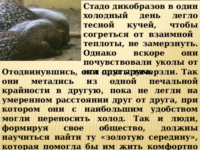Стадо дикобразов в один холодный день легло тесной кучей, чтобы согреться от взаимной теплоты, не замерзнуть. Однако вскоре они почувствовали уколы от игл друг друга. Отодвинувшись, они опять замерзли. Так они метались из одной печальной крайности в другую, пока не легли на умеренном расстоянии друг от друга, при котором они с наибольшим удобством могли переносить холод. Так и люди, формируя свое общество, должны научиться найти ту «золотую середину», которая помогла бы им жить комфортно и не испытывать неудобств в общении друг с другом. 