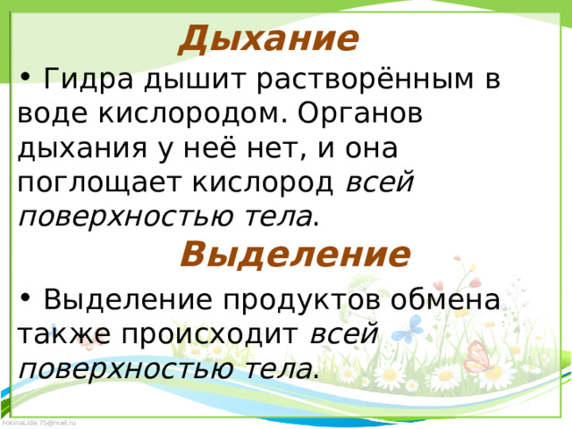 Дыхание  Гидра дышит растворённым в воде кислородом. Органов дыхания у неё нет, и она поглощает кислород всей поверхностью тела .  Выделение  Выделение продуктов обмена также происходит всей поверхностью тела .  