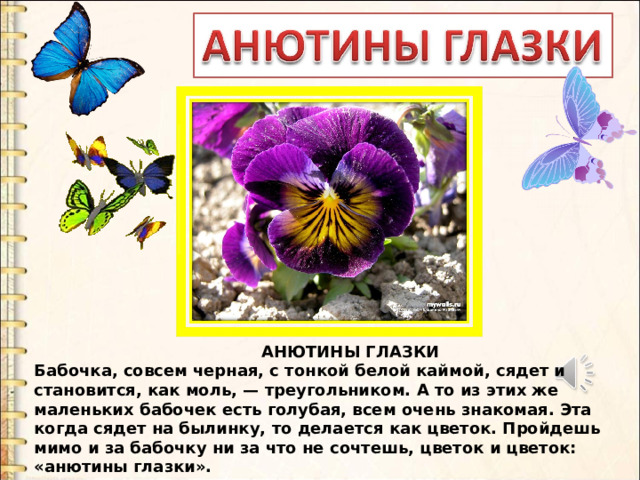 АНЮТИНЫ ГЛАЗКИ Бабочка, совсем черная, с тонкой белой каймой, сядет и становится, как моль, — треугольником. А то из этих же маленьких бабочек есть голубая, всем очень знакомая. Эта когда сядет на былинку, то делается как цветок. Пройдешь мимо и за бабочку ни за что не сочтешь, цветок и цветок: «анютины глазки».  АНЮТИНЫ ГЛАЗКИ Бабочка, совсем черная, с тонкой белой каймой, сядет и становится, как моль, — треугольником. А то из этих же маленьких бабочек есть голубая, всем очень знакомая. Эта когда сядет на былинку, то делается как цветок. Пройдешь мимо и за бабочку ни за что не сочтешь, цветок и цветок: «анютины глазки».  