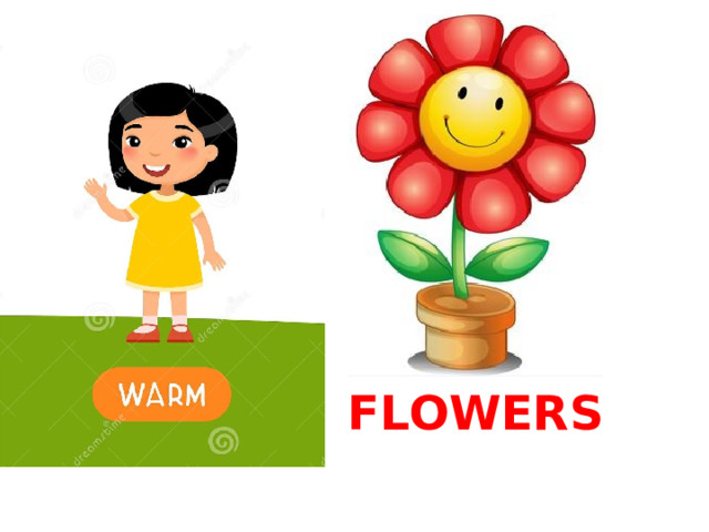FLOWERS 